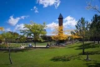 Photo of a College Campus